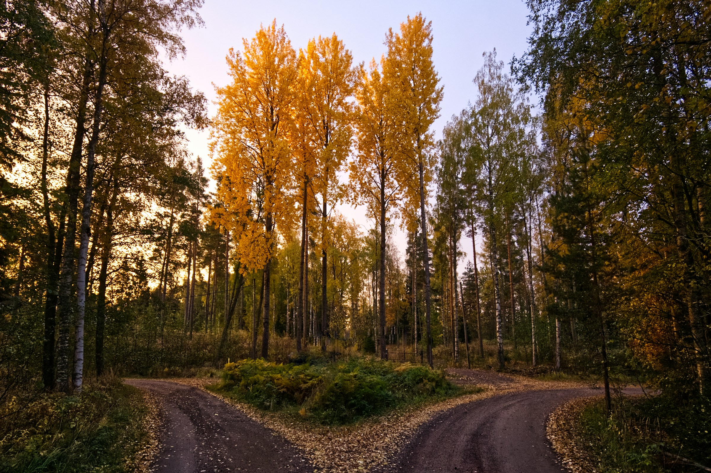 at a crossroads, with too many decisions